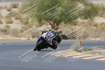 media/May-14-2023-SoCal Trackdays (Sun) [[024eb53b40]]/Turn 5 Tree of Life (1125am)/